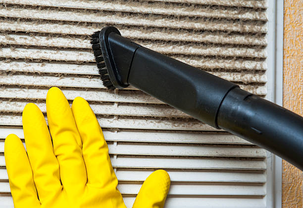 Best Air Vent Cleaning Services  in Falling Waters, WV